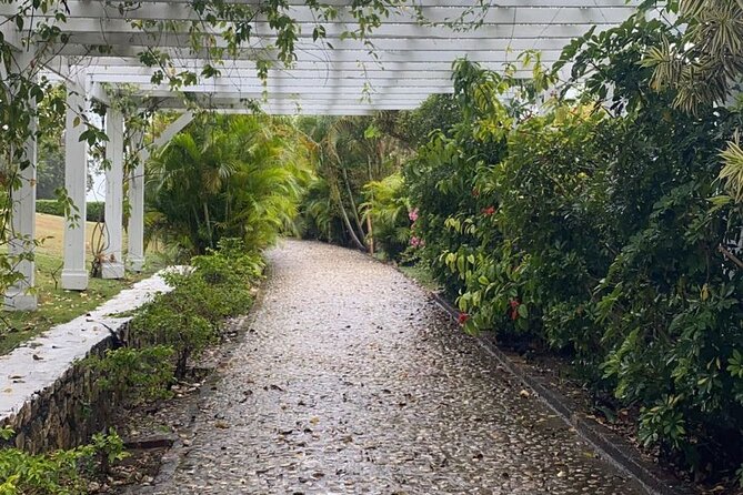 Rose Hall Great House and Montego Bay Tour - A city tour that builds toward Rose Hall