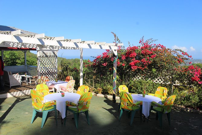 Skip the Line: Ahhh Ras Natango Gallery and Garden Admission Tickets - Meeting Jamaica’s Hummingbirds