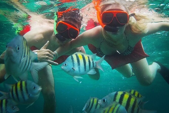 Snorkeling and Shopping in Montego Bay with Hotel pickup - A short Montego Bay outing with two different moods