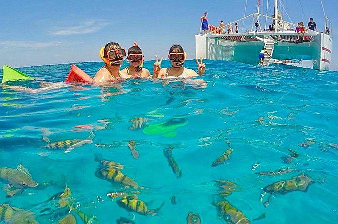Snorkeling and Shopping in Montego Bay with Hotel pickup - Marine life and the phone video