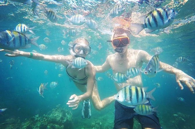 Snorkeling and Shopping in Montego Bay with Hotel pickup - The Hip Strip stop after snorkeling