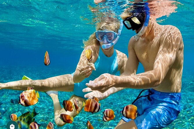 Snorkeling and Shopping in Montego Bay with Hotel pickup - What the private format changes