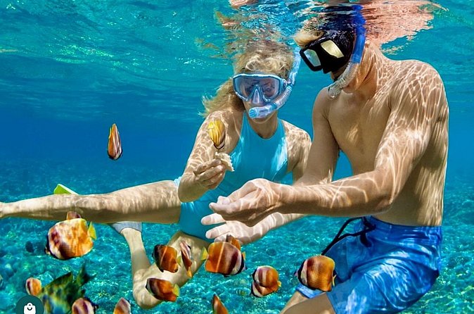 Snorkeling and Shopping in Montego Bay with Hotel pickup - Who will get the most from this tour