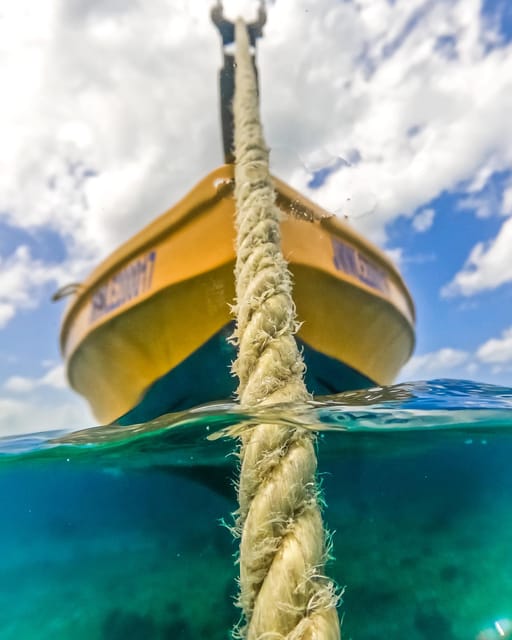 Snorkeling in Montego Bay with Transportation - Booking, cancellation, and timing advice
