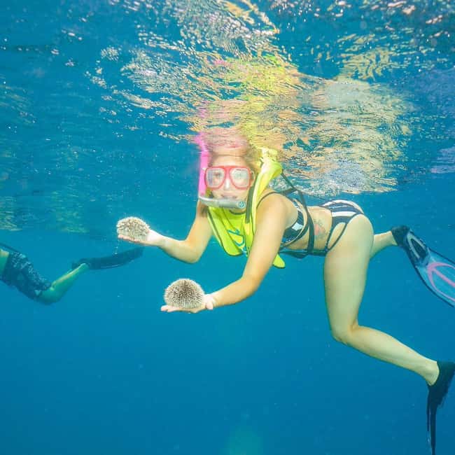Snorkeling in Montego Bay with Transportation - Pickup from Falmouth, Trelawny, and Montego Bay resorts