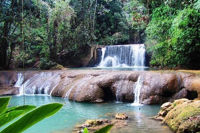 South Coast Cultural Tour History and Nature - Appleton Estate and Jamaica’s rum tradition