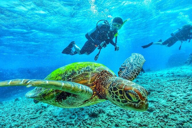 Two Tank Dive in Montego Bay w/Certified Divers - Meeting at Sunset Beach at 8:00 am