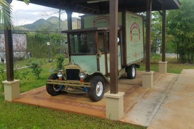YS Falls and Appleton Estate Private Rum Tour - The winding ride to Appleton Estate