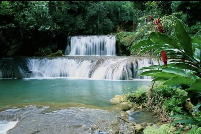 YS Falls and Appleton Estate Private Rum Tour - Who will get the most from this tour