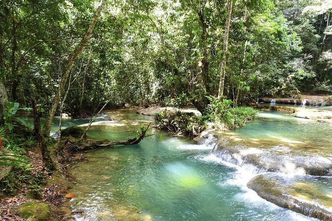 YS Falls and Appleton Estate Private Rum Tour - Private travel changes the feel of the day