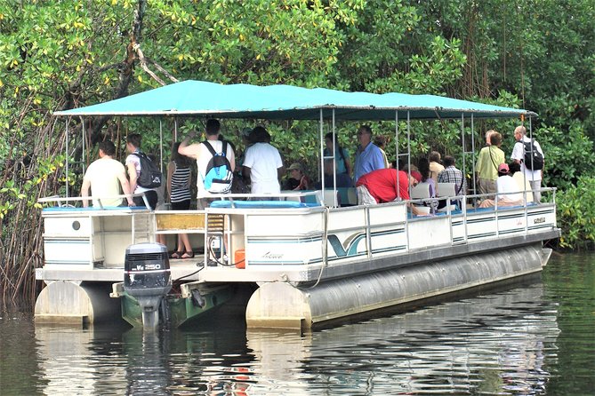 YS Falls and Black River Safari Guided Tour from Montego Bay and Grand Palladium - Why YS Falls makes the long drive worthwhile