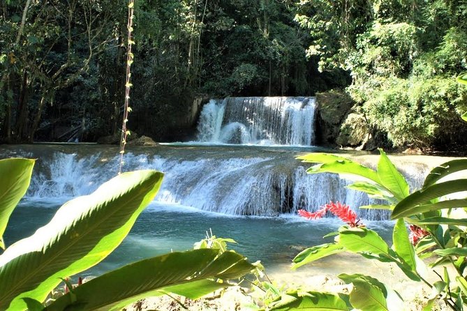 YS Falls and Black River Safari Guided Tour from Montego Bay and Grand Palladium - A pontoon ride through the Black River wetlands