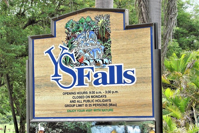 YS Falls and Black River Safari Guided Tour from Montego Bay and Grand Palladium - Is $145 a fair price?