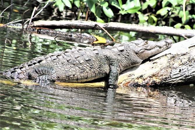 YS Falls and Black River Safari Guided Tour from Montego Bay and Grand Palladium - Booking, weather, and cancellation details