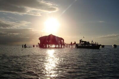 YS Falls, Black River Safari, and Floyd’s Pelican Bar Day-Trip (Transportation)