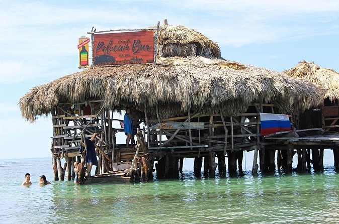 YS Falls, Black River Safari, and Floyd's Pelican Bar Day-Trip (Transportation) - Who should book this experience