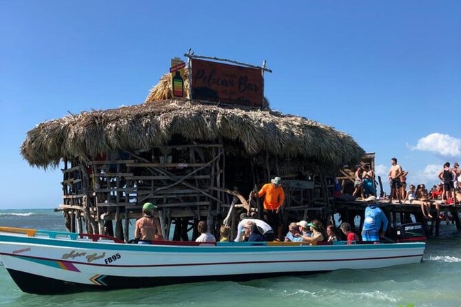 YS Falls, Black River Safari, Appleton Rum Tour OR Pelican Bar (Choose Up to 3) - Black River Safari: crocodiles and a slower pace