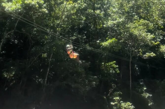 YS Falls, Black River Safari, Appleton Rum Tour OR Pelican Bar (Choose Up to 3) - Appleton Estate: Jamaica’s rum story