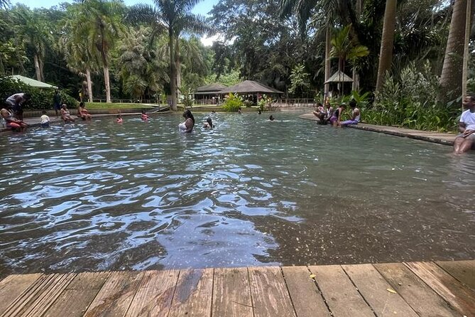 YS Falls, Black River Safari, Appleton Rum Tour OR Pelican Bar (Choose Up to 3) - The road from Montego Bay to the South Coast