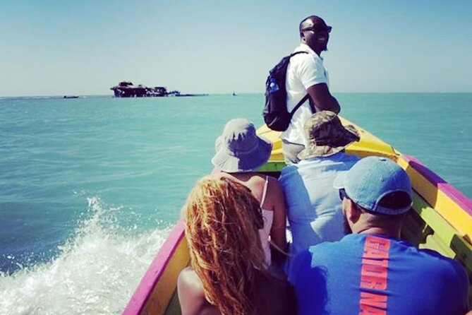 YS Falls, Black River Safari, Appleton Rum Tour OR Pelican Bar (Choose Up to 3) - What the private format does well