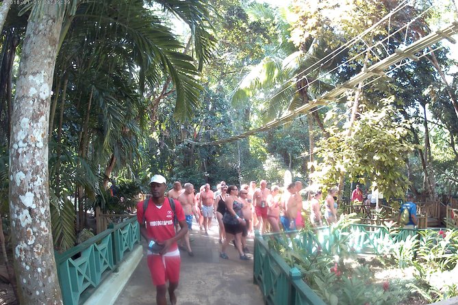 Zip Line over the Dunns River Falls - Key points to know