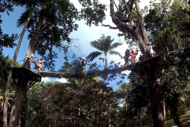 Zip Line over the Dunns River Falls - Riding above Dunn’s River Falls
