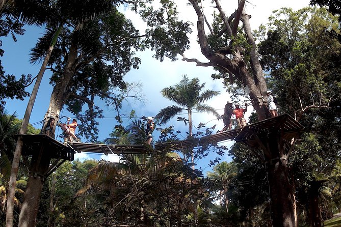 Zip Line over the Dunns River Falls - The private ride from Montego Bay