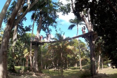 Zip Line over the Dunns River Falls