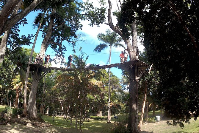 Zip Line over the Dunns River Falls - Is $192.67 a fair price?