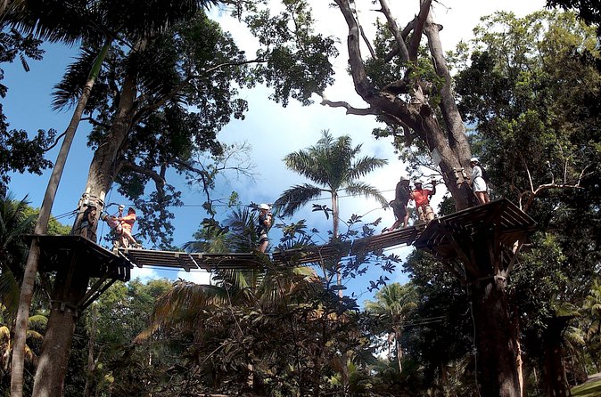 Zip Line over the Dunns River Falls - Timing, comfort, and small practical details