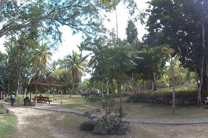 Zip Line over the Dunns River Falls - How the experience compares with a regular waterfall visit