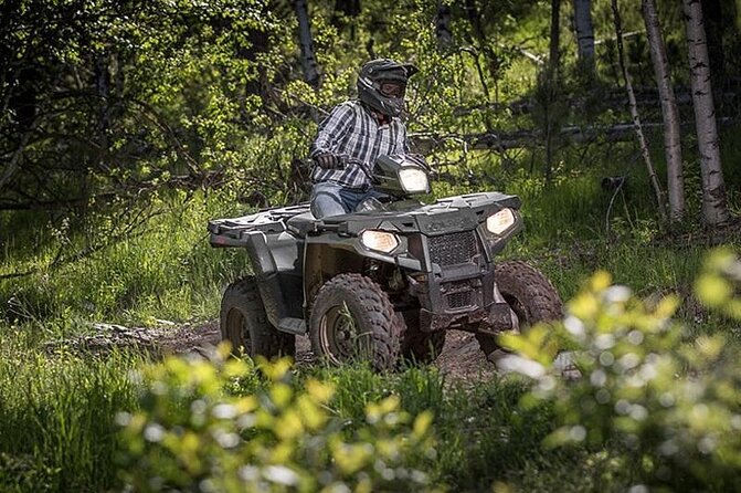 Zip-lining/Horseback Rides/Cat & Atv Inclusive Act with Transpo From Montego Bay - Hotel pickup makes a complicated day easier