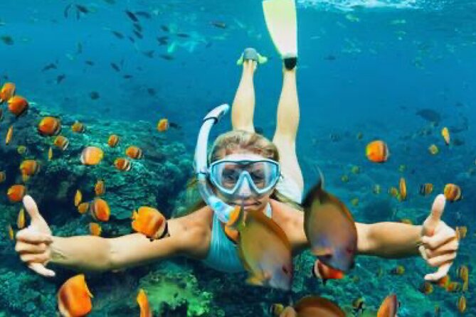 Zip-lining/Horseback Rides/Cat & Atv Inclusive Act with Transpo From Montego Bay - The real value of the $210 price