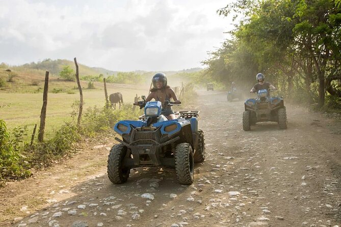 Zip-lining/Horseback Rides/Cat & Atv Inclusive Act with Transpo From Montego Bay - ATV trails with puddles, dust, and a little chaos